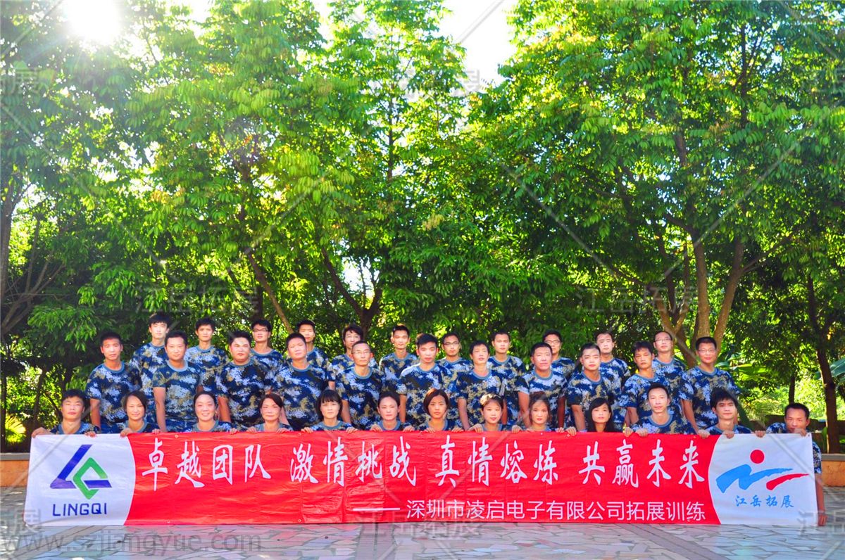 深圳市凌启电子有限公司拓展